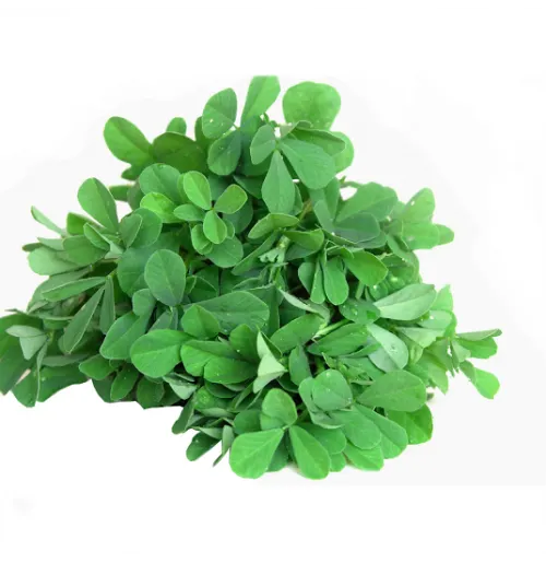 Methi Leaves Bunch