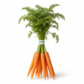 Carrot Pack