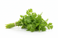 Coriander Bunch Small