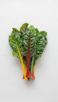 Rainbow Chard Freshly Bunched