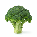 Fresh broccoli head