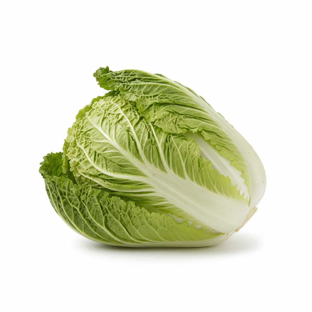 Fresh wombok Chinese cabbage