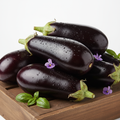 Fresh glasshouse eggplant