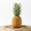 Fresh gold pineapple