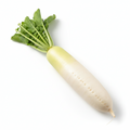 Raddish white Each