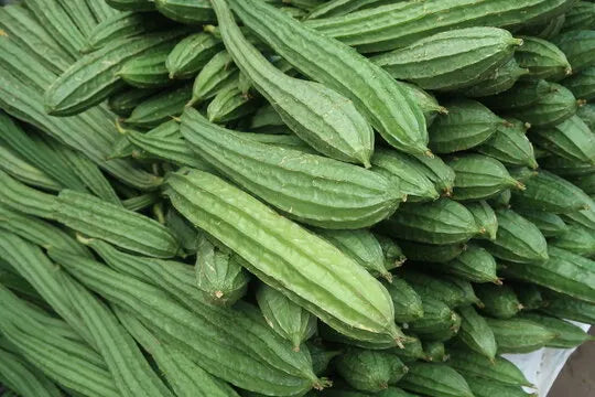 Singuva Turia 650 gm
